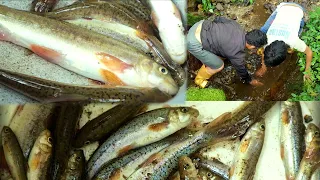 Traditional way of Fishing still remaining in Nepali Village