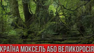 Країна Моксель або відкриття Великоросії. Поле битви - історія!