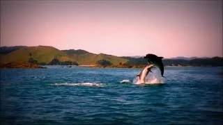 Лучший фильм о Новой Зеландии / Best film about New Zealand