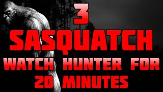 3 SASQUATCH WATCH HUNTER FOR 20 MINUTES