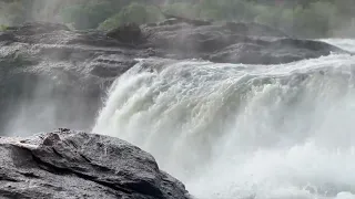 Murchison Falls - The most powerful waterfall on the African continent