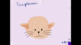 Toxoplasmosis EASY Picture Mnemonic! USMLE HIGH-YIELD