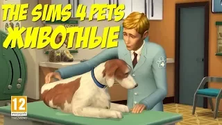 Трейлер симс 4 Животные.The Sims 4 Cats Dogs Official Trailer