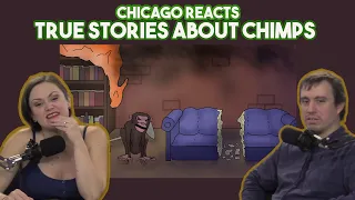 Chicagoans React to True Stories About Chimps by Sam O'Nella