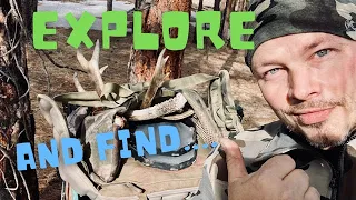 Shed Hunting Tips | How To FIND Mule Deer Antlers | How to Shed Hunt