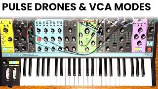 Pulses, Drones and VCA Modes on Moog Matriarch