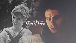 Newt & Thomas | I should have saved you [ +tdc spoilers]