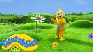 Teletubbies | Laa Laa and Giant Flowers | 2 HOURS | Official Season 16 Compilation