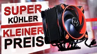 SUPER Kühler zum KLEINEN Preis! -- Arctic Freezer 34 eSports DUO