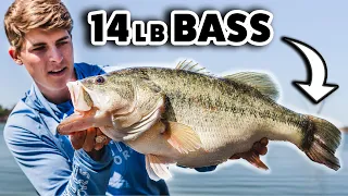 How I Caught A 14lb Bass