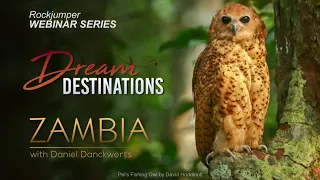 Webinar: Zambia with Dan Danckwerts