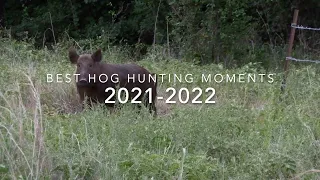 BEST HOG HUNTING MOMENTS (2021-2022 BOWHUNTING)