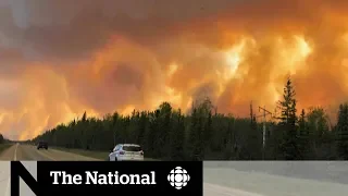 Thousands relocated as out-of-control wildfire threatens Albertan community