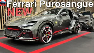 All NEW 2023 Ferrari Purosangue V12 SUV - OVERVIEW Walkaround