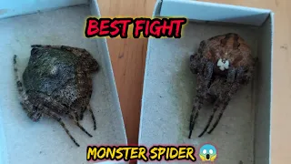 Giant VS Monster - Spider fight 😱