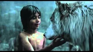 Disney’s THE JUNGLE BOOK | Clip | Mowgli Leaves The Pack | In Cinemas Now