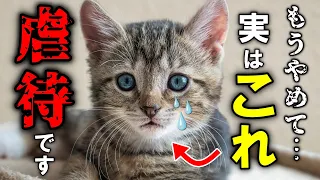 猫のしつけで絶対にしてダメなこと20選