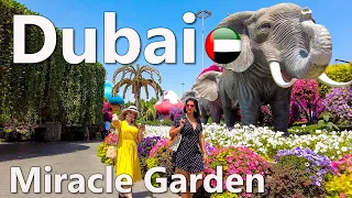 Dubai Miracle Garden Walk Tour 4K🇦🇪