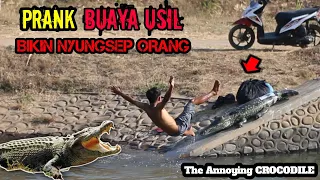 Video Lucu || Edisi Prank Buaya Paling Ngakak 🤣🤣 || Super Lucu Auto Nyemplung