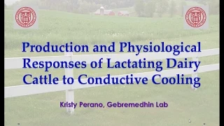 Kristy Perano: Production and Physiological Responses of heat-stressed Lactating Dairy Cattle