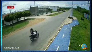 Tribuna Livre  -Câmeras flagram acidente entre motociclista e cavalo