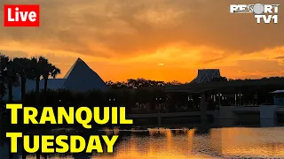 🔴Live: Tranquil Tuesday at Epcot - Walt Disney World Live Stream - 9-5-23