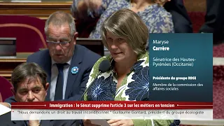 Immigration : le Sénat supprime l'article 3 sur les métiers en tension - 100% Sénat