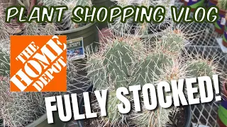 314: Plant Shopping VLOG: Fully Stocked Home Depot Garden Center | Cactus, Succulents, Tropicals