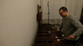 Daily Improvisation #372 - Marimba Solo (Julius Heise)