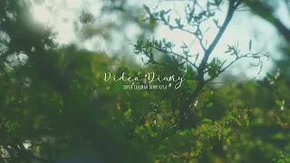 Video Diary || Nature Through a Vintage lens ||  Sony A7 Mark I & Super Takumar 50mm F1.4