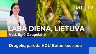 Drugelių paroda VDU Botanikos sode | Laba diena, Lietuva | 2024-03-08