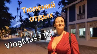 Предновогодний влог/ VlogMas #16/ Доминикана. 5 день. "Тюлений" отдых. Вечерняя анимация