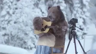 Медведь играет на гитаре. Прикол.