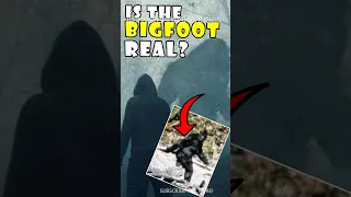 BIGFOOT CAUGHT ON CAMERA! #shorts #cryptids #bigfoot #real #scary #story #subscribe