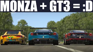 This IDIOT deserves to be reported! | Fanatec GT3 Challenge at Monza | Ferrari 488 GT3