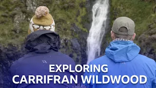 Carrifran And The Borders Forest Trust | Roaming In The Wild