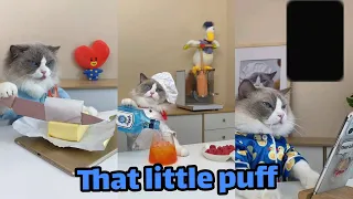 Best That Little Puff TikToks of 2021 | Funny That Little Puff TikTok Compilation