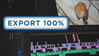 Best video export settings for YouTube & archive – Premiere Pro CC