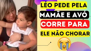 LEOZINHO PEDIU PELA MAMÃE E AVÓ ZAIDA HUFF CORRE PARA ELE NÃO CHORAR E MOSTRA MARÍLIA PELO CELULAR