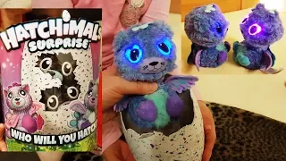 Hatchimals Surprise Twins -  How They Hatch in Timelapse - Big Egg