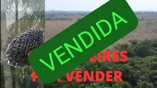 (Vendido) Terra de 10 alqueires pra vender. No município de tucumã Pará.