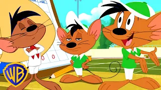 Looney Tunes en Latino | Qué carácter: Speedy González | @WBKidsLatino