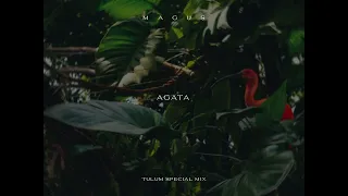 Chillout Organic Downtempo // Agata - Tulum Special Mix