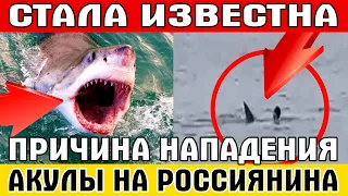 СТАЛА ИЗВЕСТНА ПРИЧИНА НАПАДЕНИЯ АКУЛЫ НА РОССИЯНИНА в Египте