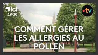 Allergie : comment gérer les pics de pollens ?