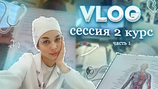 VLOG: ЭКЗАМЕН ПО АНАТОМИИ | 266 ВОПРОСОВ ЗА 3 ДНЯ