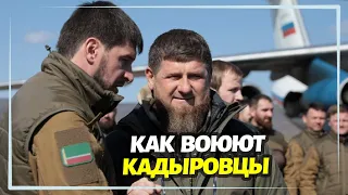 Как воюют кадыровцы - перехват разговора