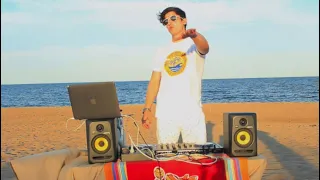 Lost Frequencies, Alok, Swedish House Mafia, Sam Feldt, Filous, Harry Styles - Summer Beach Mix