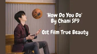 Lirik Lagu How Do You Do (OST True Beauty) - Chani SF9 dan Terjemahan Bahasa Indonesia