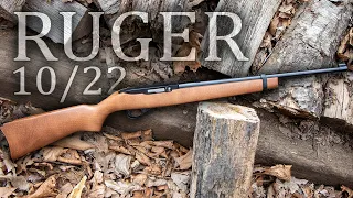 Ruger 10/22 Carbine 22LR Review